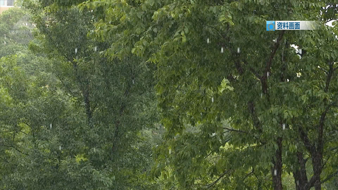 8099999街头巷尾微信