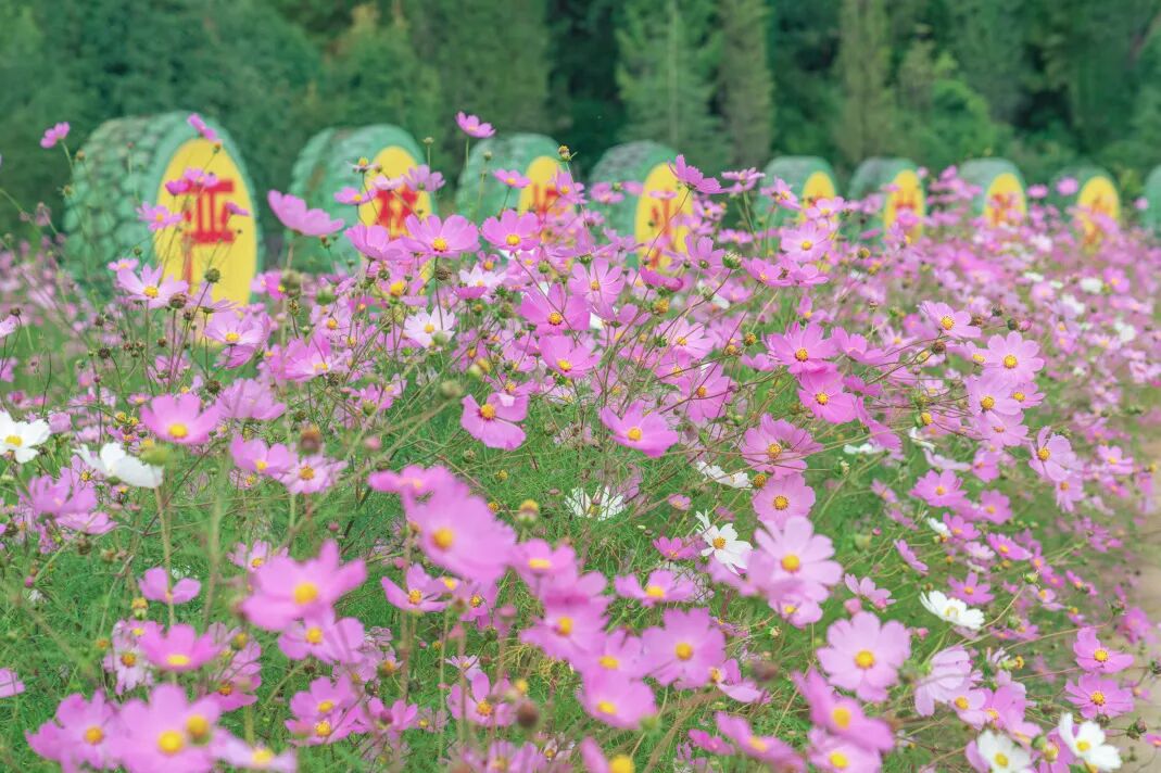 晋宁 诗意的栖居地