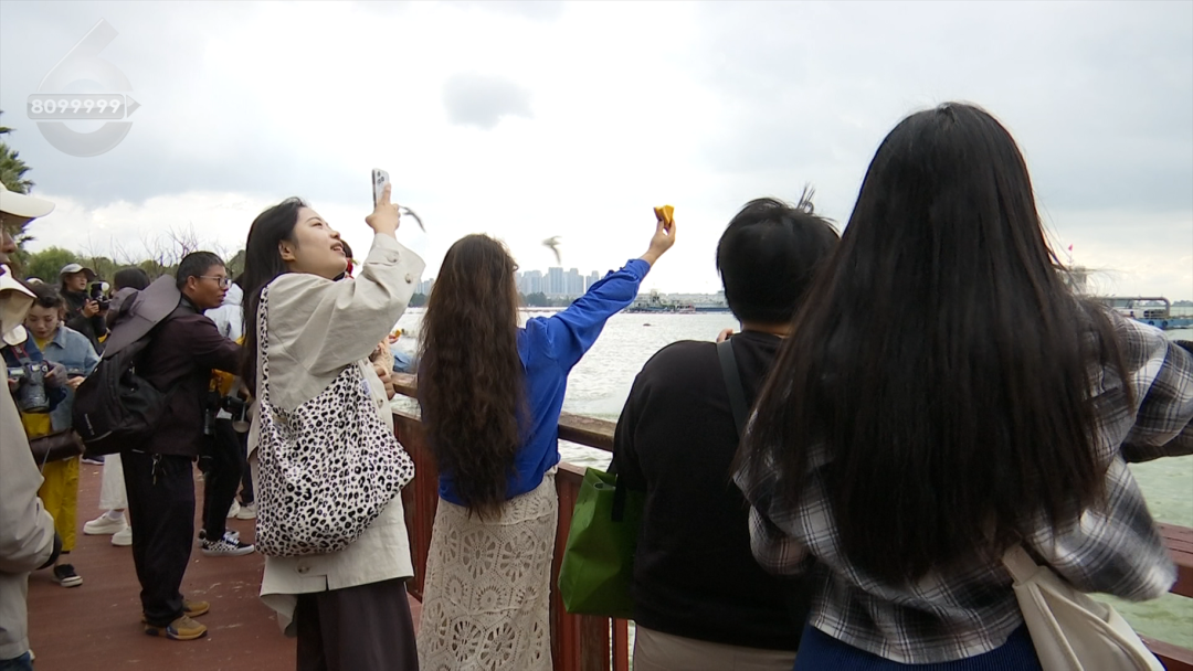 8099999街头巷尾微信