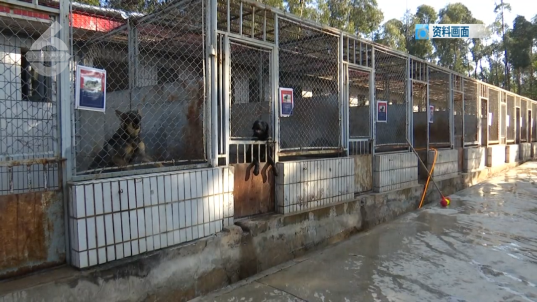 8099999街头巷尾微信