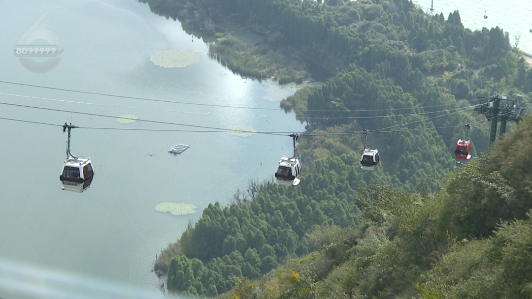 8099999街头巷尾微信