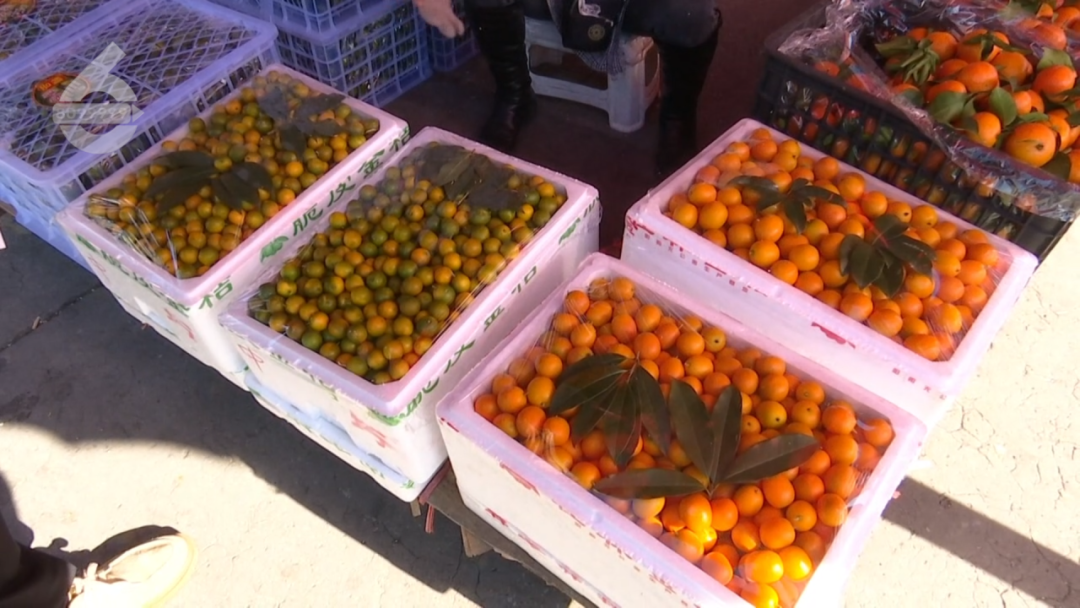 8099999街头巷尾微信