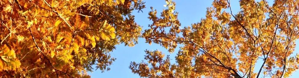 昆明广播电视台