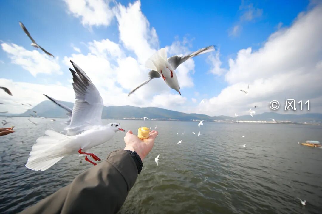 FM954昆明汽车音乐广播