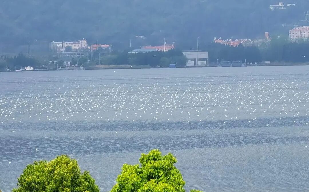 8099999街头巷尾微信