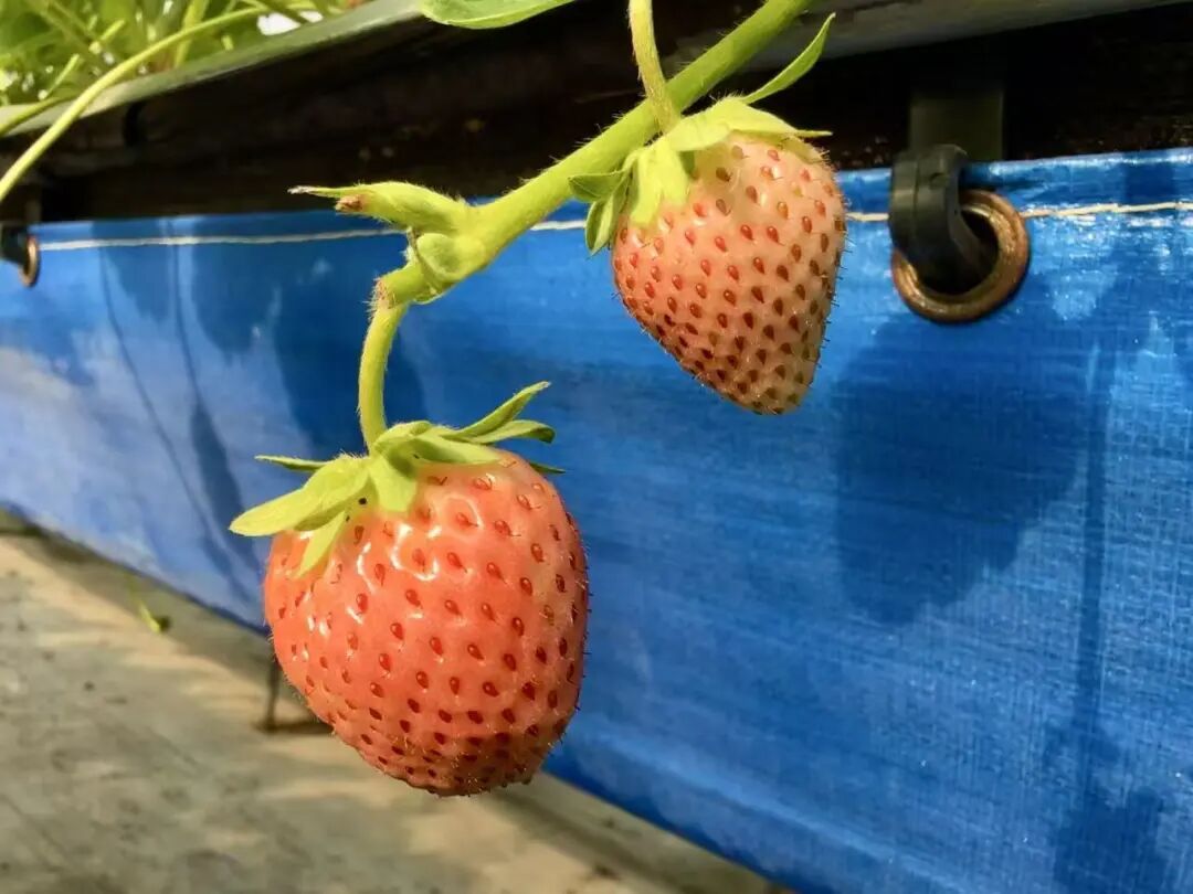 晋宁 诗意的栖居地