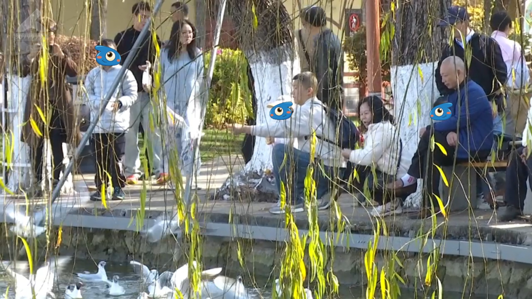 8099999街头巷尾微信