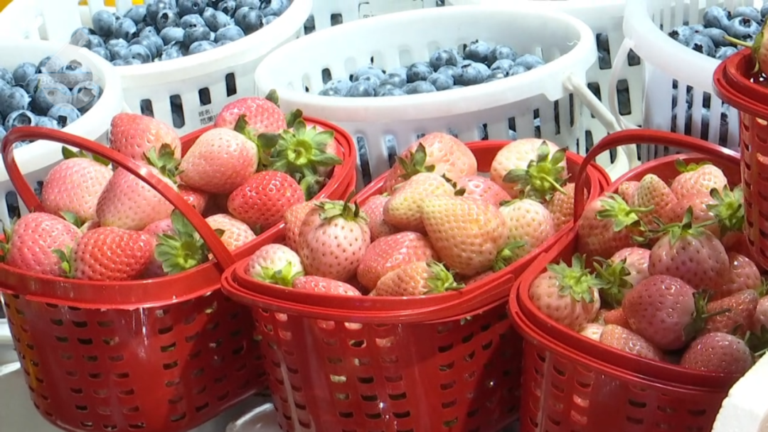 8099999街头巷尾微信