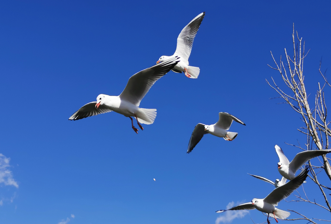 昆明广播电视台