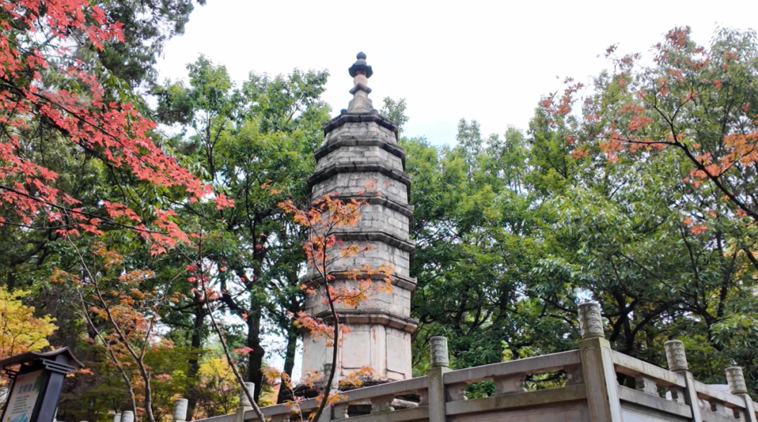 8099999街头巷尾微信