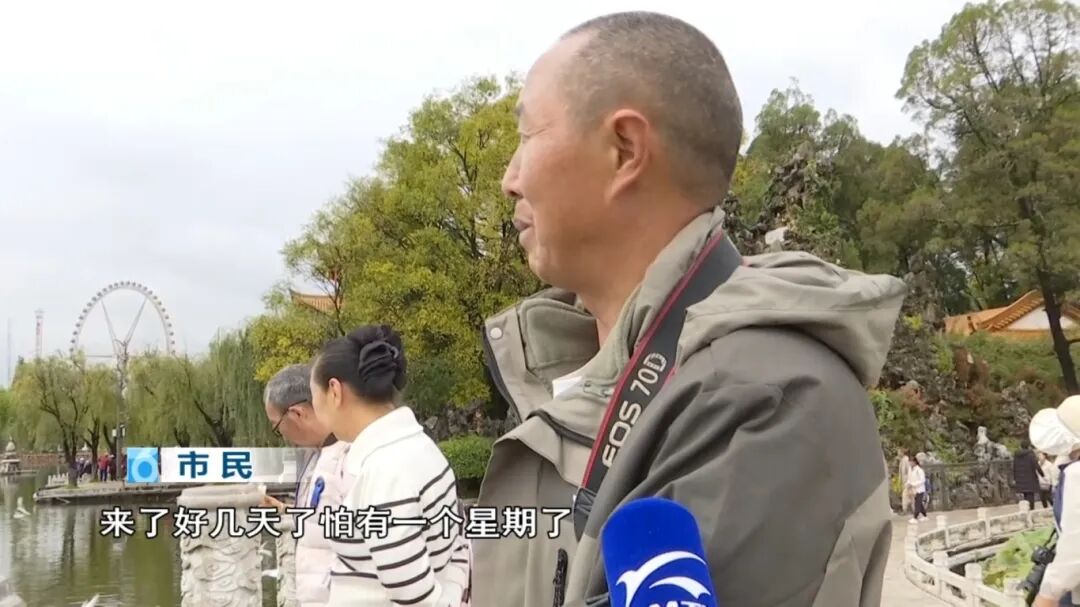 8099999街头巷尾微信