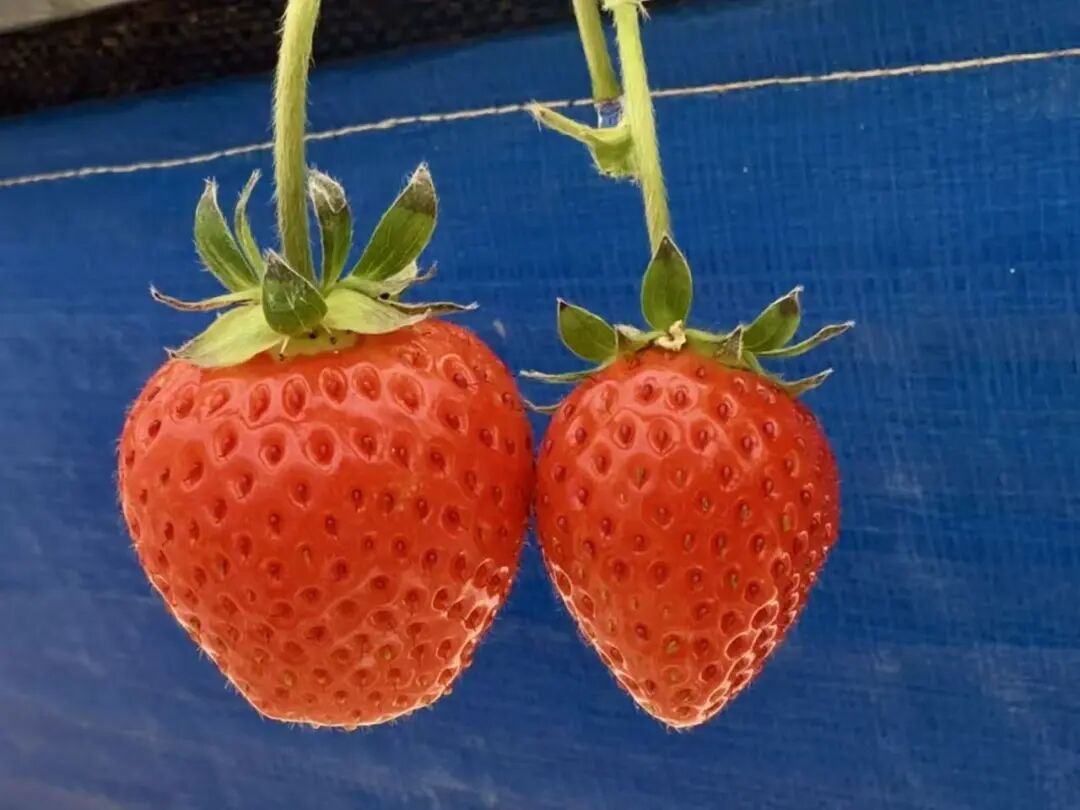 晋宁 诗意的栖居地