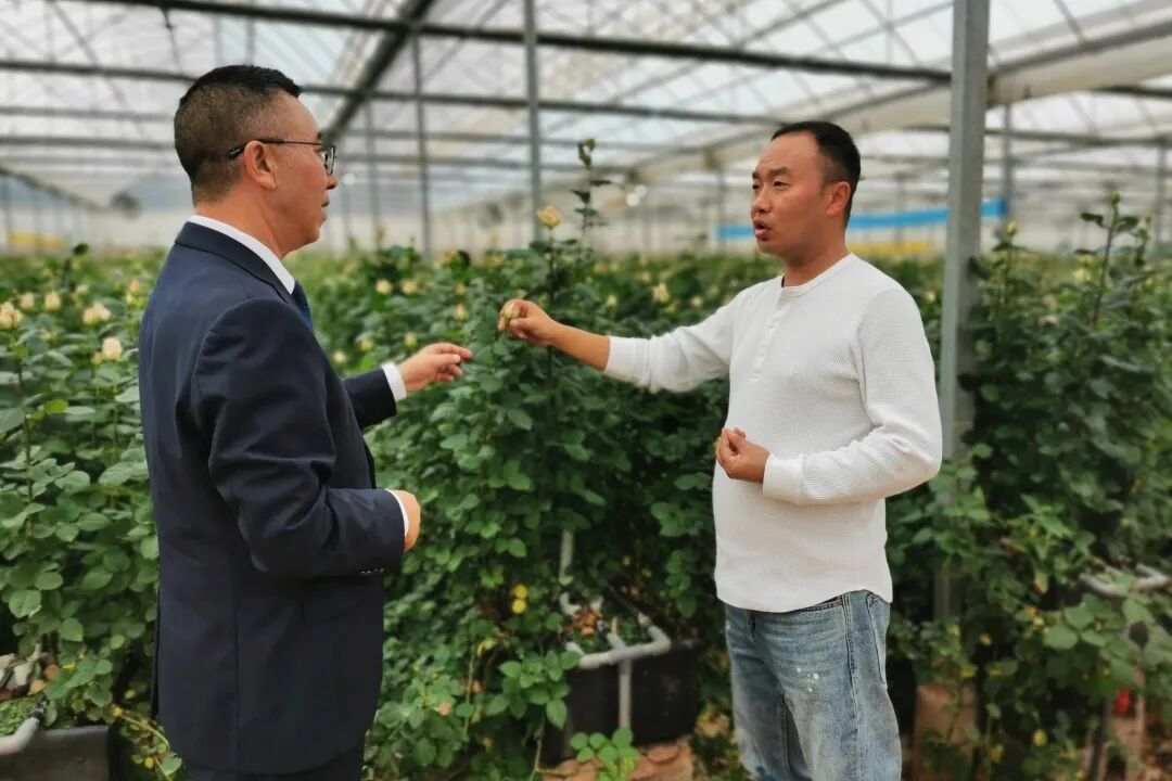 晋宁 诗意的栖居地