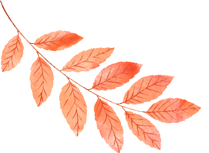 云南省中医医院