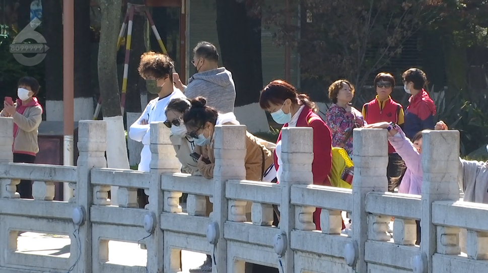 8099999街头巷尾微信