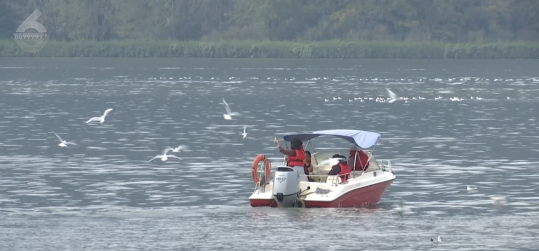 8099999街头巷尾微信