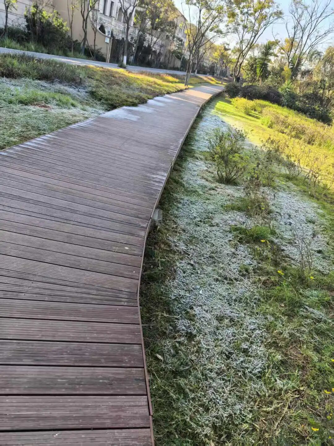 8099999街头巷尾微信