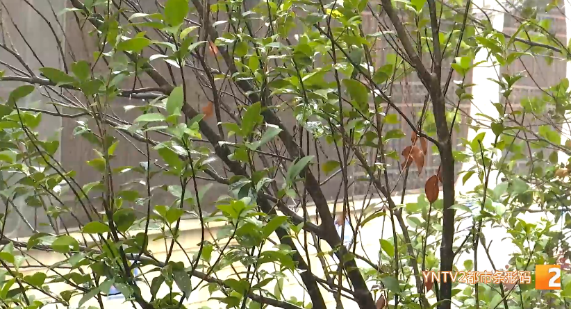 昆明广播电视台