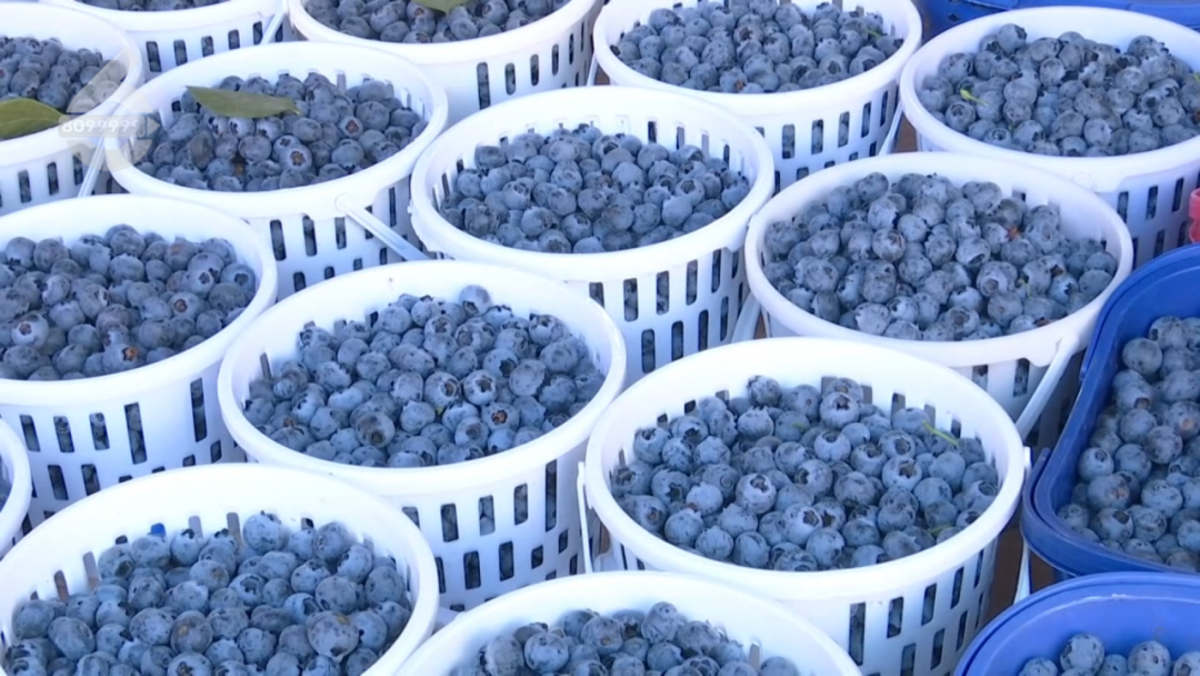 8099999街头巷尾微信