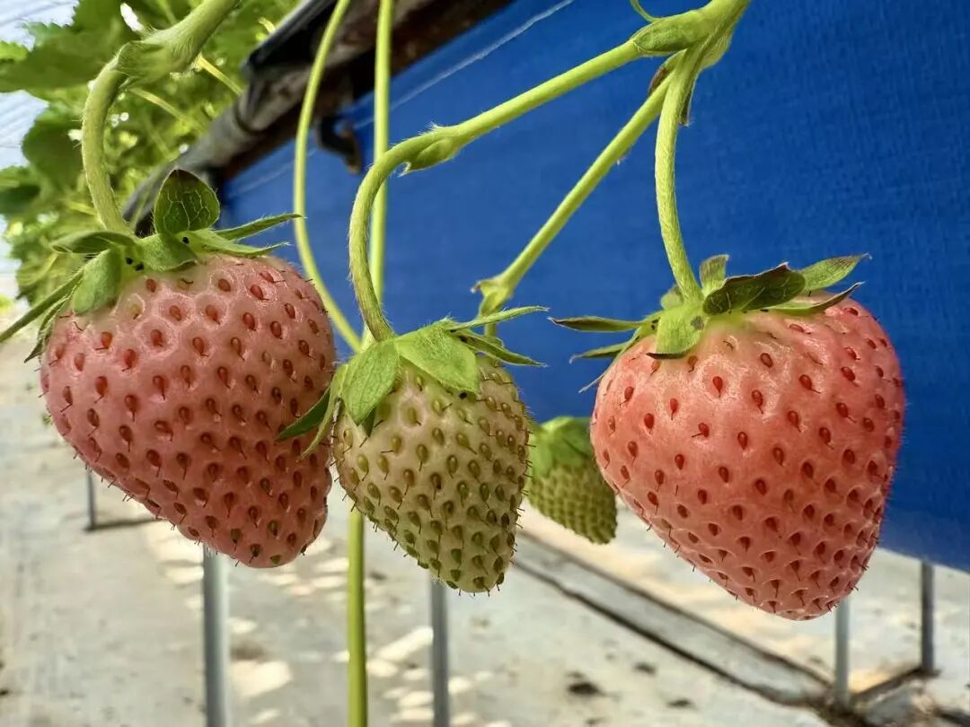 晋宁 诗意的栖居地