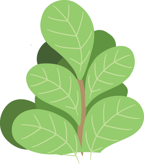 昆明市中医医院