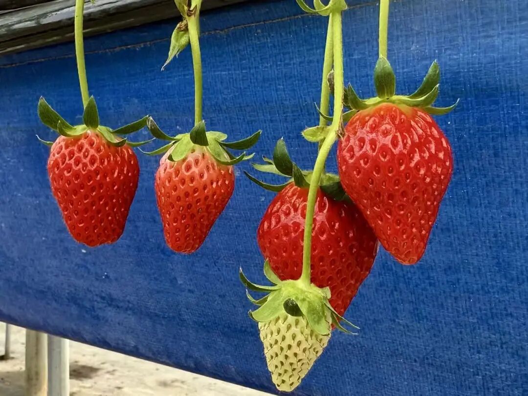 晋宁 诗意的栖居地