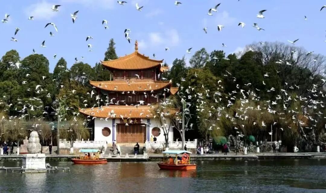 8099999街头巷尾微信