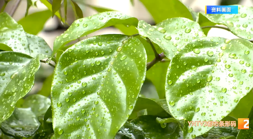 昆明广播电视台