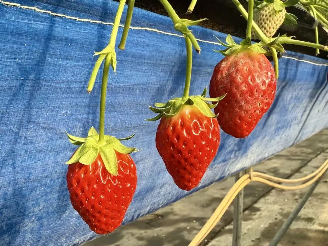 晋宁 诗意的栖居地