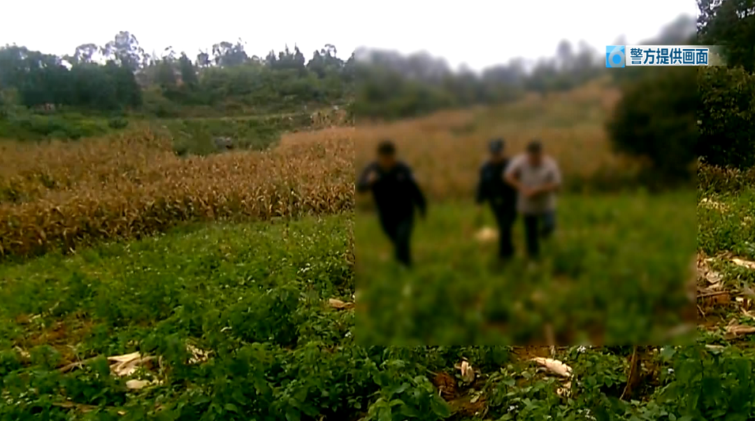 8099999街头巷尾微信