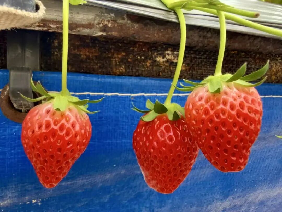 晋宁 诗意的栖居地