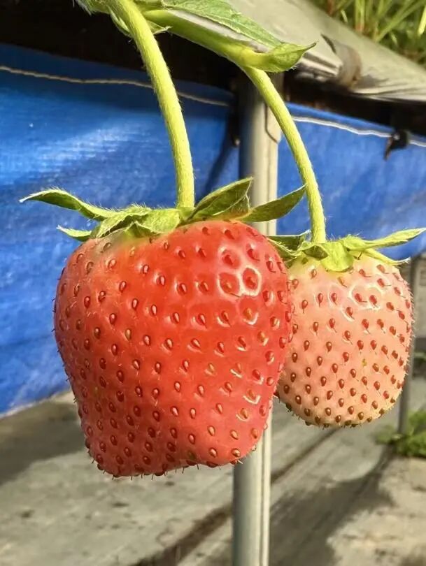 晋宁 诗意的栖居地