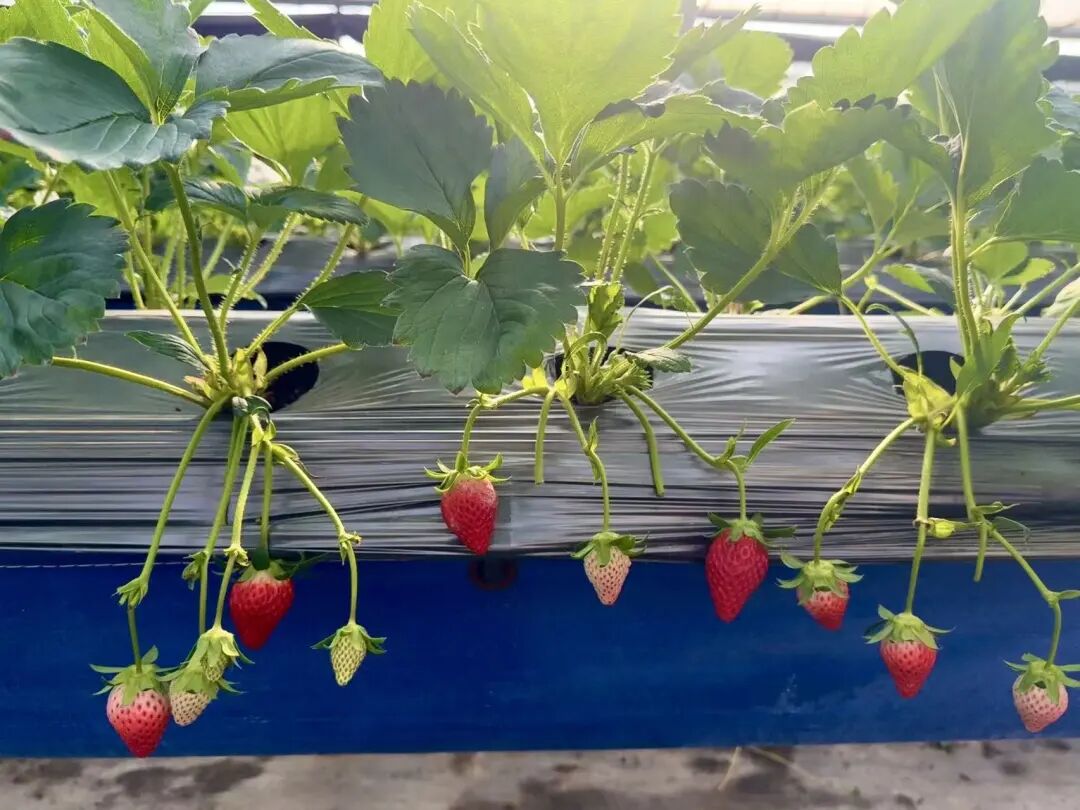 晋宁 诗意的栖居地