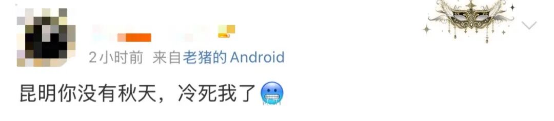 8099999街头巷尾微信