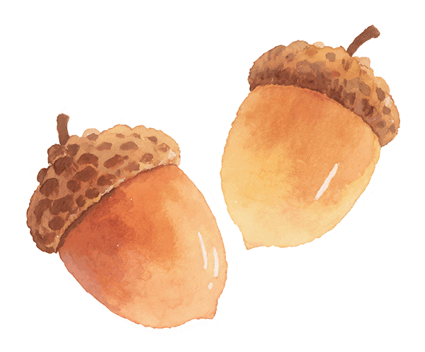 FM954昆明汽车音乐广播