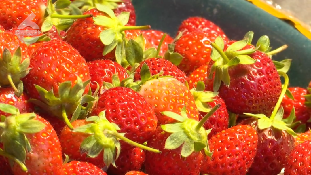 8099999街头巷尾微信