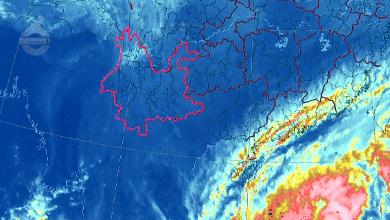 8099999街头巷尾微信