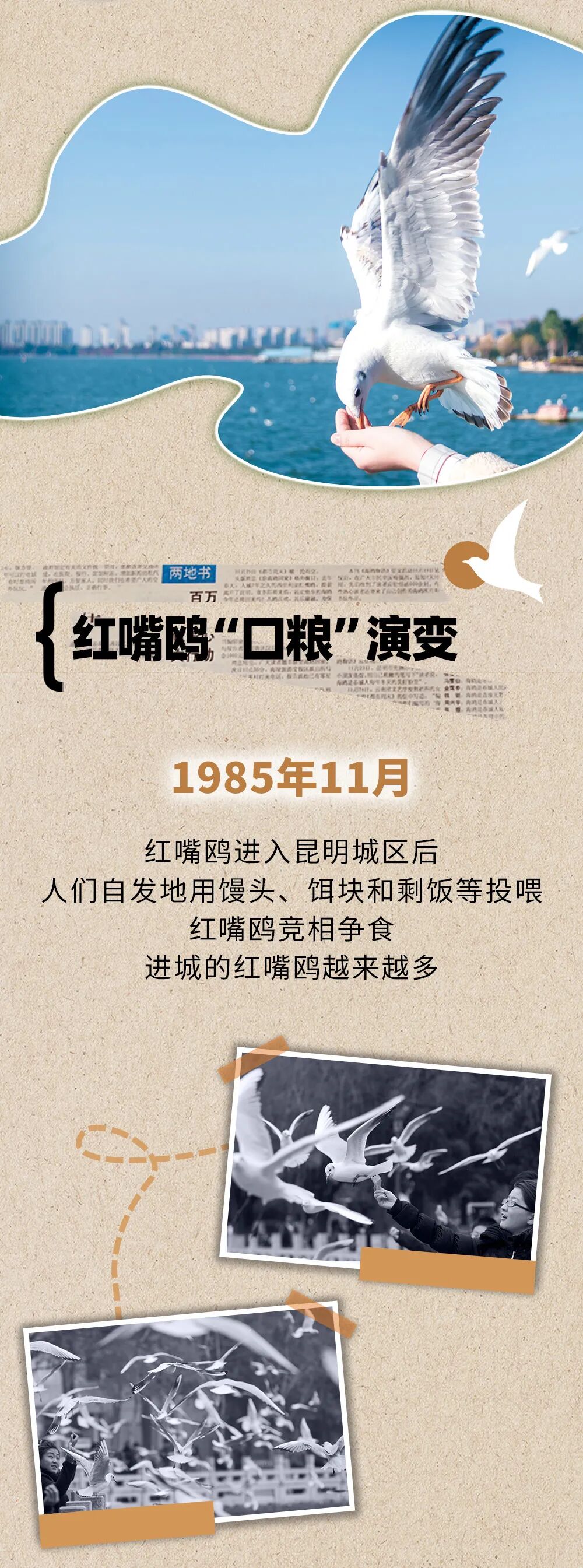 昆明广播电视台经济生活频道