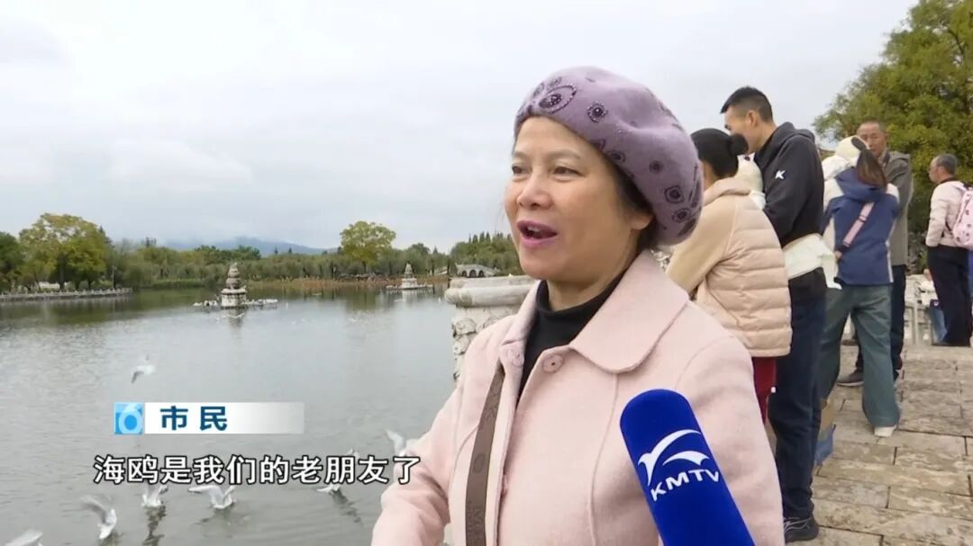 8099999街头巷尾微信