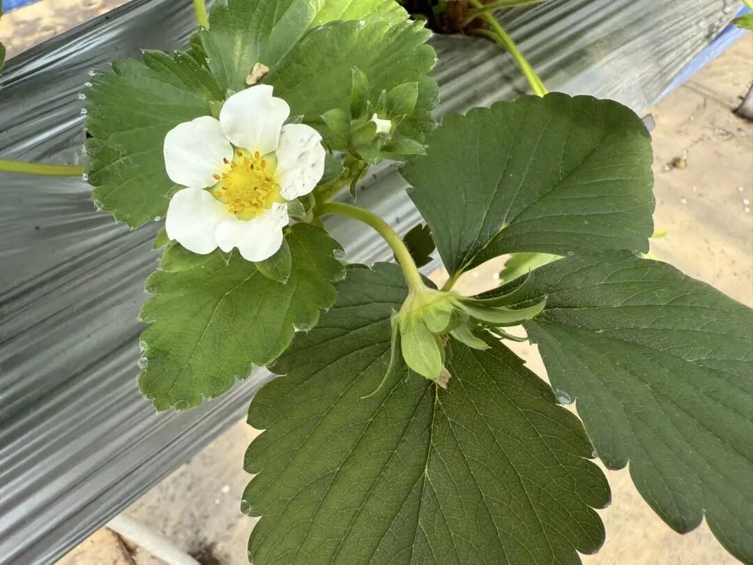 晋宁 诗意的栖居地