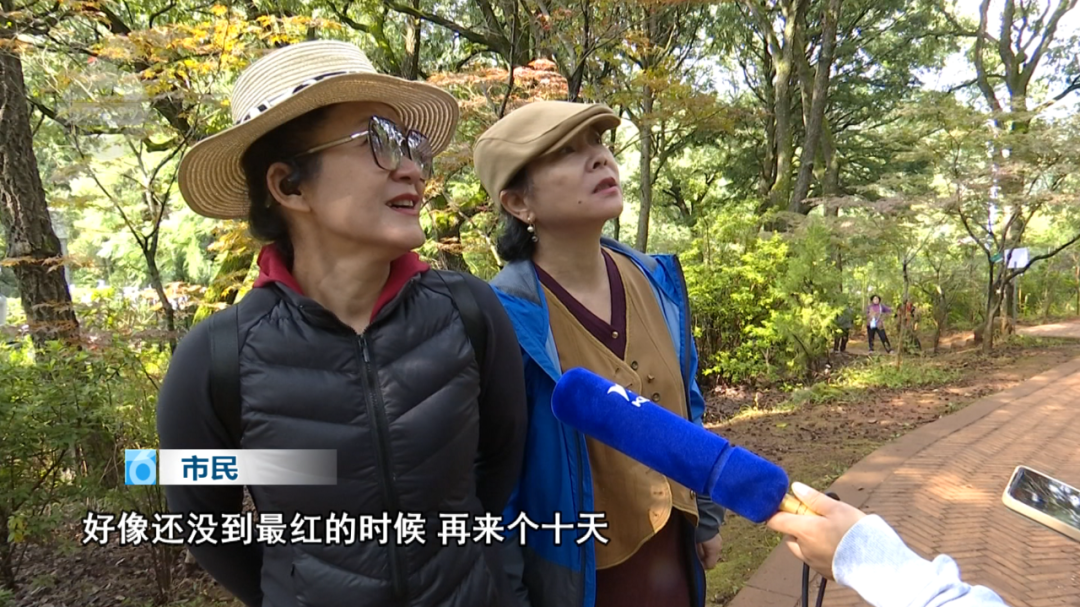 8099999街头巷尾微信