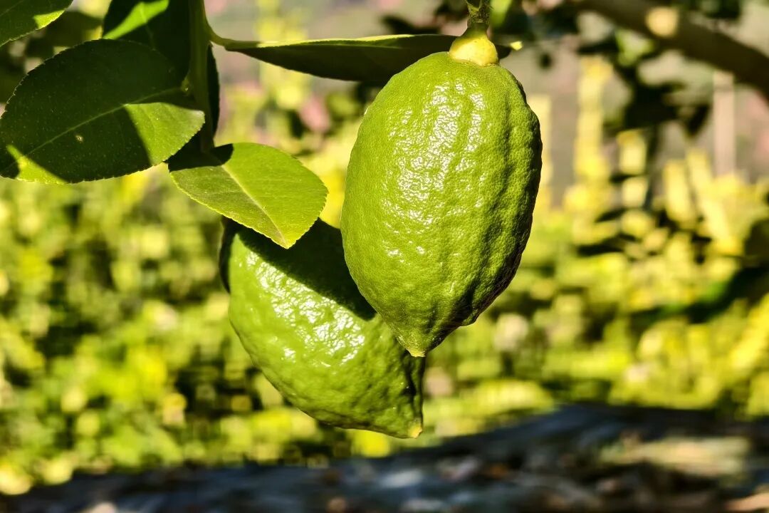 晋宁 诗意的栖居地