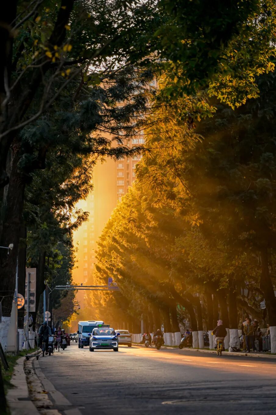 8099999街头巷尾微信