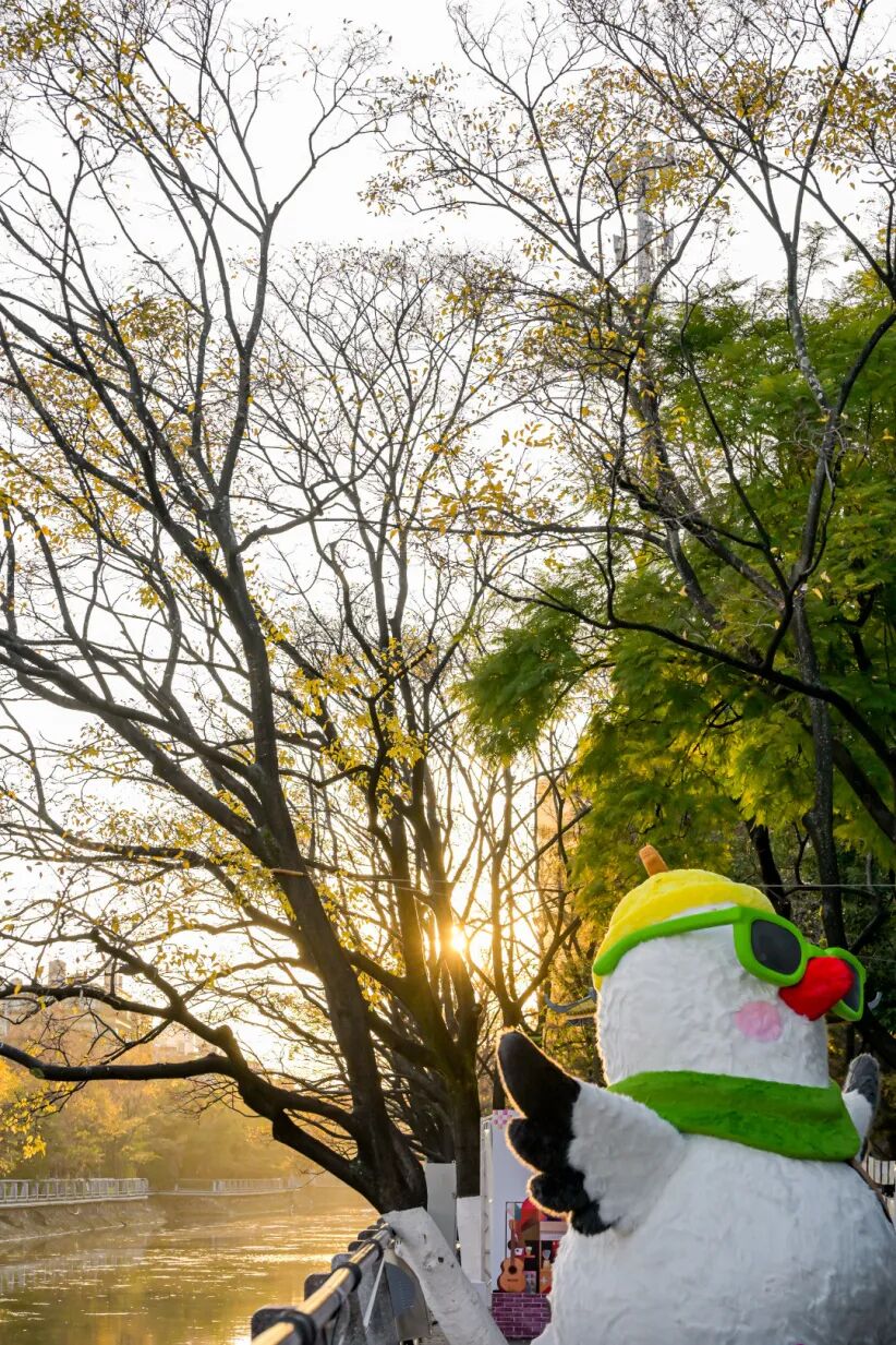 8099999街头巷尾微信