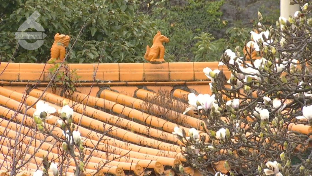 8099999街头巷尾微信