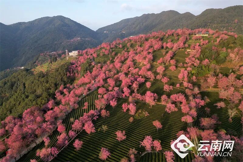 云南广播电视台