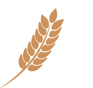 云南省中医医院