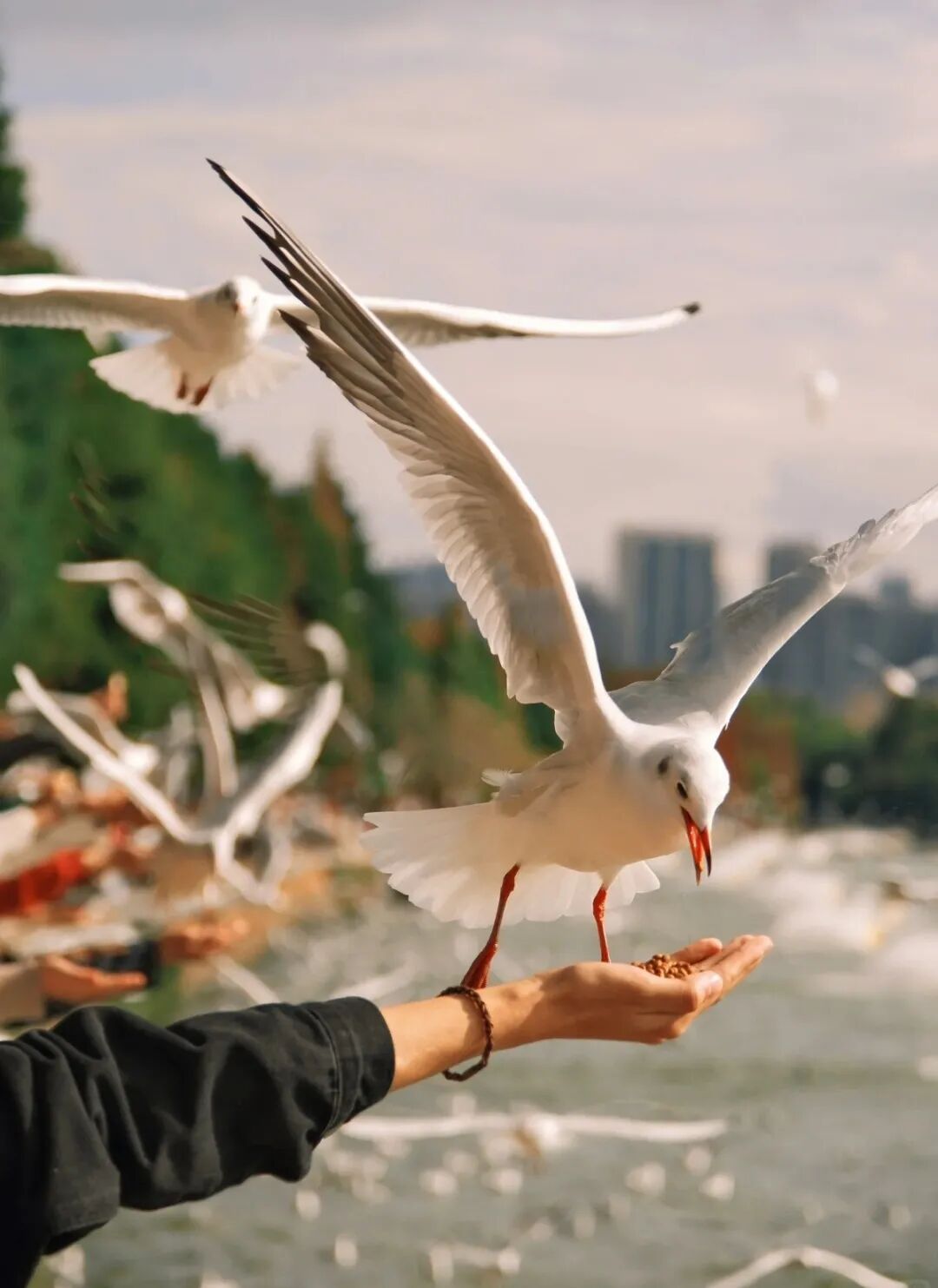 8099999街头巷尾微信