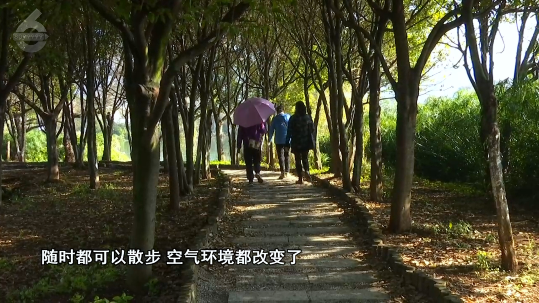 8099999街头巷尾微信