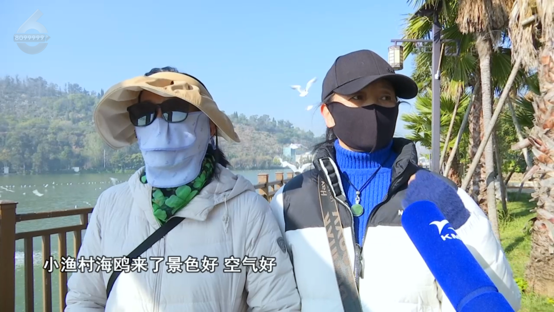 8099999街头巷尾微信